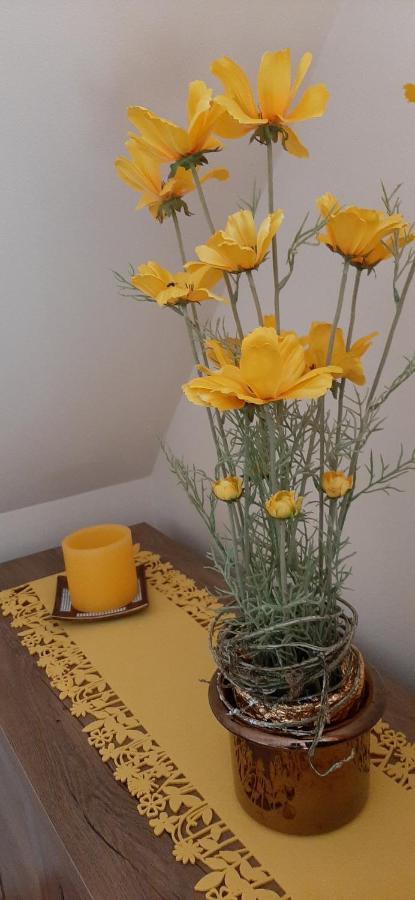 Napko Apartman Шопрон Екстериор снимка